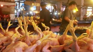  Update Harga Kebutuhan Pokok, 6 Oktober 2022, Harga Daging Ayam Ras Naik Sebegini - JPNN.com Kaltim