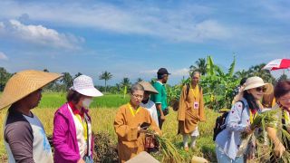 Para Biksu Kagum dengan Padi Organik Magelang - JPNN.com