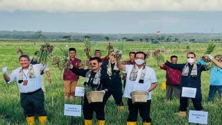 Mentan SYL Ajak Sri Sultan HB X Kolaborasi Pengembangan Pertanian - JPNN.com