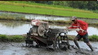Penas Bakal Dihelat, Nasib Petani dan Nelayan Akan Bergairah - JPNN.com Sumbar