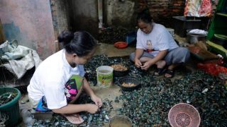 Kembangkan Komunitas UMKM di Cilincing, OMG Jakarta Beri Alat Pengupas Kerang - JPNN.com