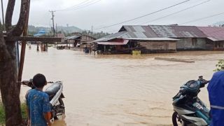4 Kecamatan di Kabupaten Buol Sulteng Terendam Banjir - JPNN.com