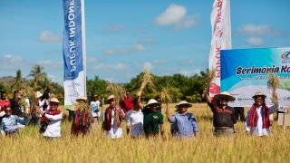 PI Dukung Ketahanan Pangan ASEAN lewat Akses Pupuk & Pestisida untuk Timur Leste - JPNN.com