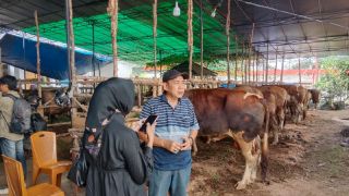 Penjual Hewan Kurban di Palembang Mulai Banjir Pesanan - JPNN.com