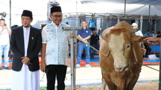 Bank Mandiri Salurkan Daging Kurban ke Daerah Bencana dan Terluar di Momen Iduladha - JPNN.com