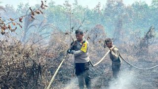 Kawasan Suaka Margasatwa Rimbang Baling Dibakar, Pelaku Langsung Ditangkap - JPNN.com