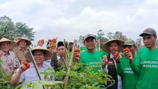 Pertanian Hortikultura Itikurih di Garut Tumbuhkan Ekonomi Mandiri Masyarakat - JPNN.com