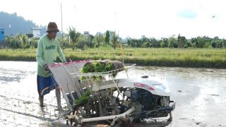 Kemendes Dorong Ketahanan Pangan dan Wisata Desa di Pandeglang - JPNN.com