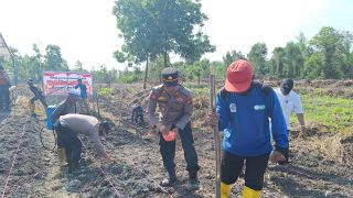 Dukung Ketahanan Pangan, Polisi dan SRPO Tanam Jagung di Dumai - JPNN.com