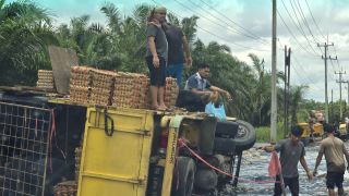 Truk Bermuatan 8 Ton Telur Terbalik di Jalintim Pangkalan Kerinci, Ini Dugaan Penyebabnya - JPNN.com