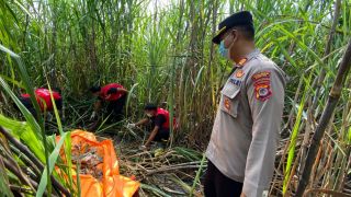 Kerangka Manusia Ditemukan di Ladang Tebu Bantul, Polisi Bilang Begini - JPNN.com