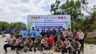 May Day Tanpa Demo, Pekerja Sambu Group Tanam 1.001 Mangrove di Inhil - JPNN.com