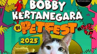 Bobby, Kucing Presiden Prabowo Jadi Juri di Petfest Indonesia 2025 - JPNN.com