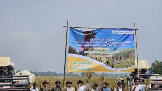 Bulog Terapkan Teknologi Biostimulan, Produksi Padi di Karawang Naik 2 Kali Lipat - JPNN.com
