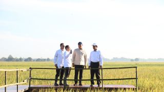 Stok Bulog Selama 4 Bulan Capai 3,5 Juta Ton, Terbesar Sejak Indonesia Merdeka - JPNN.com