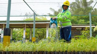 Program Keberlanjutan SIG Menyerap 20 Ribu Tenaga Kerja - JPNN.com