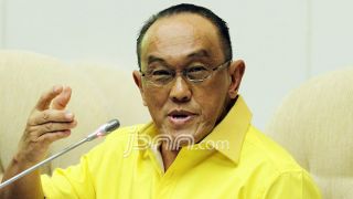 Aburizal Bakrie Dukung TNI-Polri Menindak Tegas OPM - JPNN.com