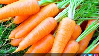 5 Makanan Kaya Vitamin A yang Perlu Anda Ketahui - JPNN.com