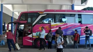 Jadwal Bus AKAP Bali – Jawa Sabtu 28 Januari 2023, Lengkap! - JPNN.com Bali