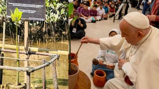 Mangrove yang Diberkati Paus Fransiskus di KEK Kura-Kura Bali Tumbuh Subur, Simbol Kasih - JPNN.com Bali
