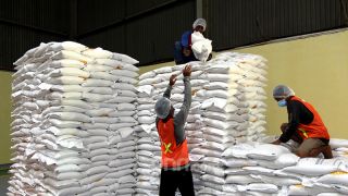 Bulog Papua Siapkan 100 Ton Beras Bantuan Bencana - JPNN.com Papua