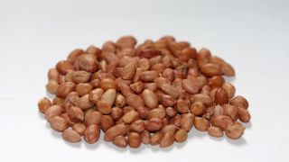 11 Manfaat Kacang Tanah, Aman Dikonsumsi Ibu Hamil - JPNN.com