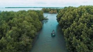 Lihat tuh, Kondisi Hutan Bakau Muaragembong Bekasi Kian Mengkhawatirkan - JPNN.com Jabar