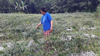 Erupsi Gunung Merapi, Tiga Desa di Boyolali Terdampak Hujan Abu - JPNN.com Jateng