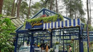 Golden Pine Orchid Forest Cikole Jadi Primadona Wisatawan - JPNN.com Jabar