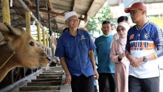 IBH Sumbangkan Puluhan Hewan Kurban ke 11 Kecamatan di Kota Depok - JPNN.com Jabar