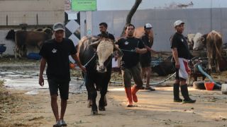 Imbauan Buat Warga Surabaya Soal Limbah Rumen Hewan Kurban, Buang di Sini - JPNN.com Jatim