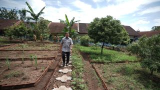 SMAN 1 Tanggul Sulap Lahan Kosong Jadi Kebun Sehat, Bisa Cetak Wirausaha Muda - JPNN.com Jatim