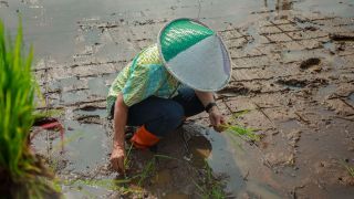 Dinas Pertanian Karawang Siapkan Asuransi Pertanian Demi Lindungi Petani dari Gagal Panen - JPNN.com Jabar