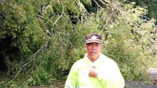 Pohon Tumbang Tutup Akses Jalan Menuju Kota Parapat, Polsek Parapat dan Warga Bergerak - JPNN.com Sumut