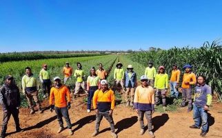 Warga Timor Leste Bisa Menjadi Jawaban Kekurangan Pekerja di Sektor Pertanian di Australia - JPNN.com