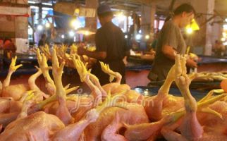 KPII Pertanyakan Kehalalan Paha Ayam Beku Impor - JPNN.com