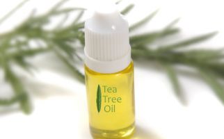 Manfaat Tea Tree Oil Untuk Kesehatan - JPNN.com