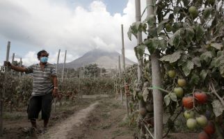 BPBD Minta Warga Tak Dekati Radius Tiga Kilometer, Gunung Sinabung Erupsi Dua Kali - JPNN.com