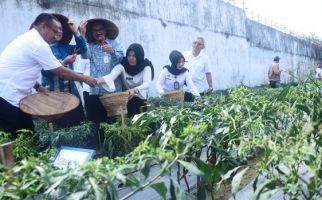 Panen Cabai Perdana di Rutan, Hasilnya Lumayan - JPNN.com