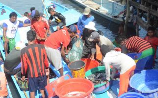 Nilai Tukar Nelayan Tangkap Melambung di Era Jokowi - JPNN.com