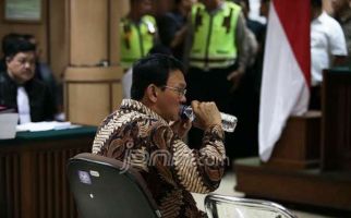 PPP Ingatkan Massa NU soal Keanehan Ahok - JPNN.com