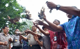 Lihat, Ratusan Burung Diselundupkan ke Pulau Jawa - JPNN.com