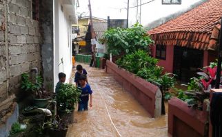 Sudah Jelas, Banjir tak Menguntungkan Ahok-Djarot - JPNN.com