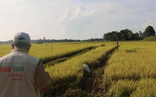 Pak Kades: Duit yang Gak Seberapa Sudah Tergoda - JPNN.com