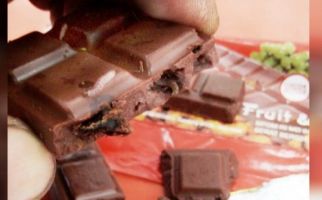Beli Cokelat di Minimarket, Begitu Dibuka Ada Ulatnya - JPNN.com