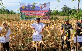 Mentan Optimistis Malaysia Impor Jagung Indonesia - JPNN.com