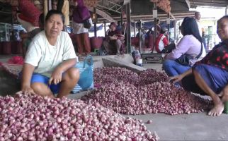 Impor Datang, Harga Bawang Lokal Anjlok - JPNN.com