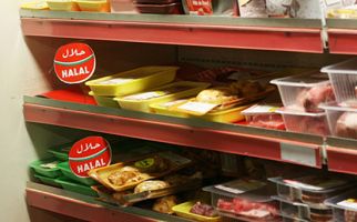 Hanya 10 Persen Produsen Makanan Bersertifikat Halal - JPNN.com