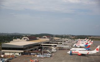 Tiga Perusahaan Singapura Tertarik Kembangkan Bandara Hang Nadim - JPNN.com