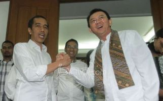 Jokowi Bakal Kena Imbas Jika Ahok Bebas - JPNN.com